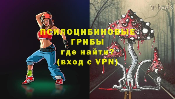 тгк Богданович