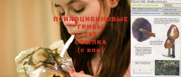 ешки Богородицк